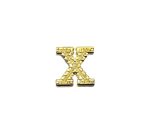 FPAL-053 Gold Alphabet Letter X Pin