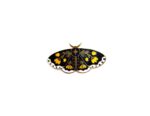 Butterfly Moth Enamel Pin