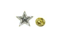 Rhinestone Gold Star Pin