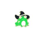 Wizard Frog Pin